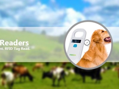 The characteristics and application advantages of RFID ear tags in different frequency bands