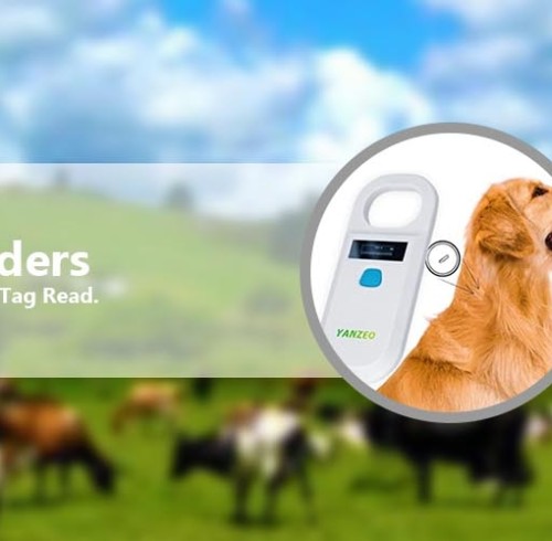 The characteristics and application advantages of RFID ear tags in different frequency bands