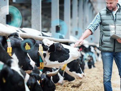 Rfid animal reader basic knowledge