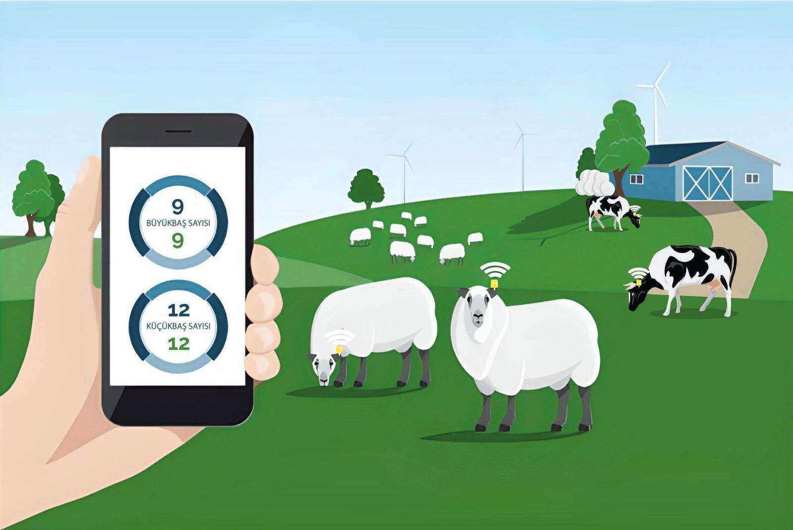 How to Use RFID in Livestock Management?
