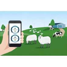 How to Use RFID in Livestock Management?