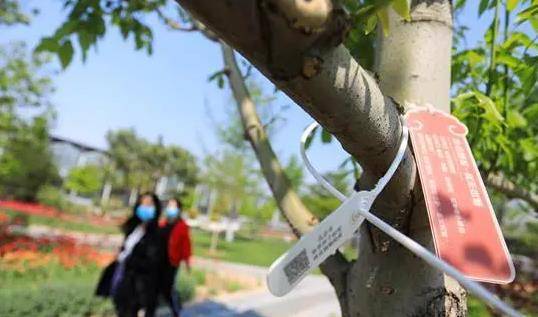 Intelligent Application of RFID Strap Labels in Pipeline and Tree Management