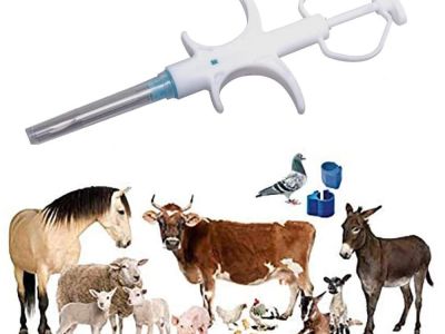 Pet microchip prevent pet from being lost