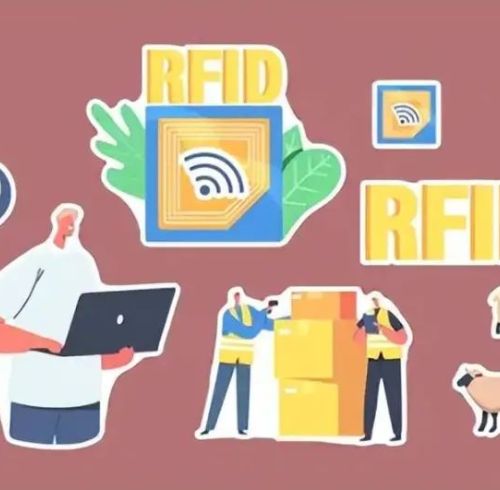 RFID Tags: Innovative Guardians in the Field of Food Safety