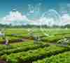 Revolutionizing Agriculture with RFID Technology: Smart Farming for a Sustainable Future