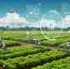Revolutionizing Agriculture with RFID Technology: Smart Farming for a Sustainable Future