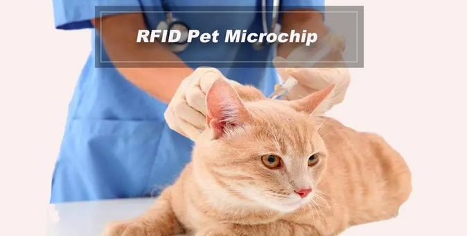 Animal Rfid Microchip reduce the stray animals