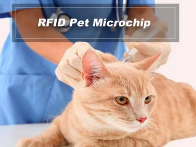 Animal Rfid Microchip reduce the stray animals