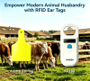 Empower Modern Animal Husbandry with RFID Ear Tags