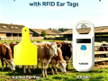 Empower Modern Animal Husbandry with RFID Ear Tags