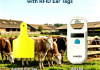 Empower Modern Animal Husbandry with RFID Ear Tags