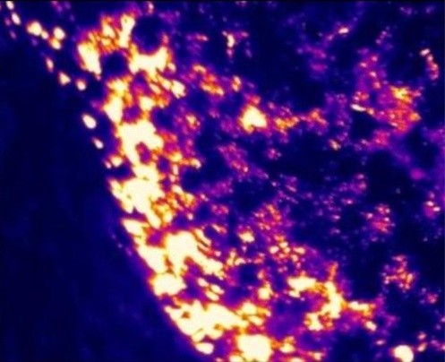 What Are the Early Warning Applications of Infrared Thermal Imaging Technology in Forest Fire Prevention?