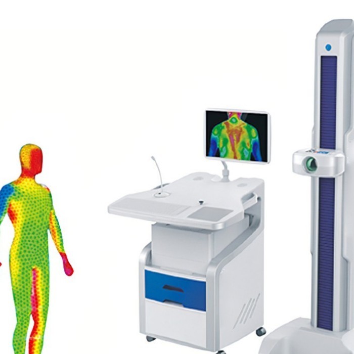Application of Infrared Thermal Imaging in Medical Diagnosis