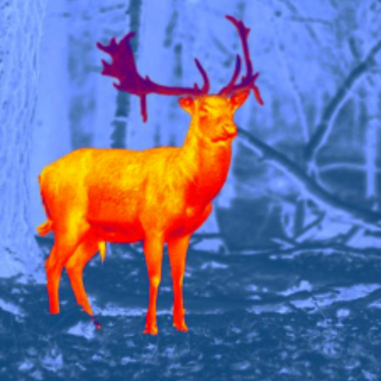 What Role Does Thermal Imaging Play in Recreational Market Segments Such As Hunting and Wildlife Viewing?