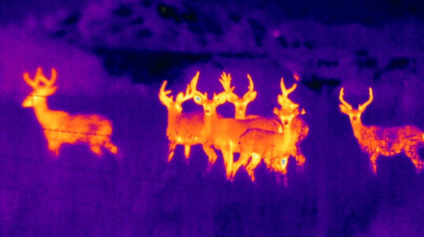 thermal imaging devices
