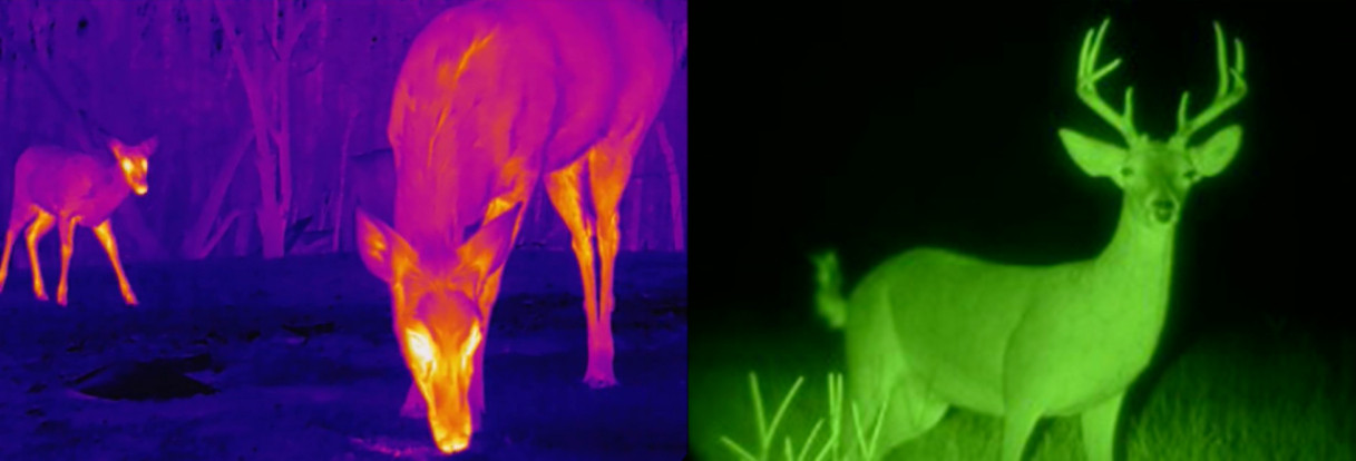 thermal imaging vs infrared