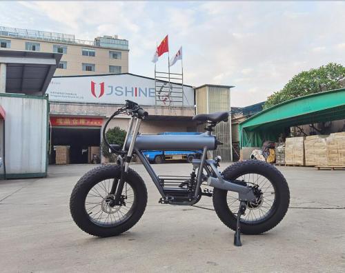 500W  20'' Foldaway Li-ion Battery Electric City Bicycle