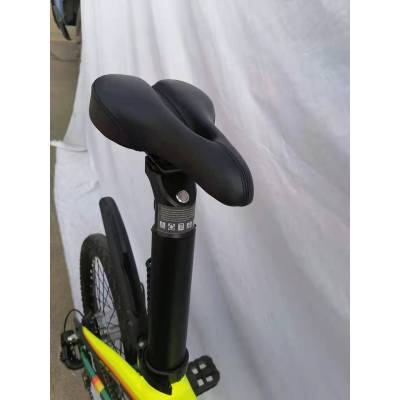 Prime 250W 20'' Electric Bicycle Supplier