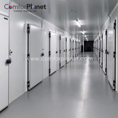 Wholesale Insulation Cold Storage Panel for Chiller Room Freezer Room Food Processing Industries