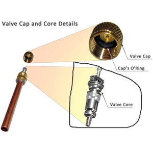 Wholesale Access valve core Charging Valve Core for replacement in Access valve