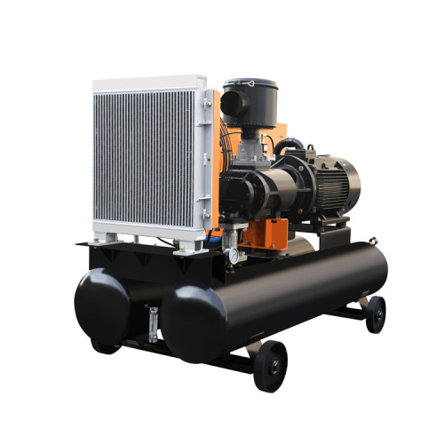 Electric Portable Screw Air Compressor Driven Normal Pressure Compressor