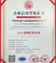 Enterprise AAA Credit Certification