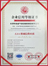 Enterprise AAA Credit Certification