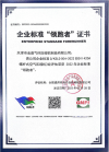 ENTIERPRISESTANDARDFORERUNNER