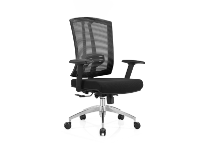 Medium Back Office Chair wholesale China facotry price WS-CP181M