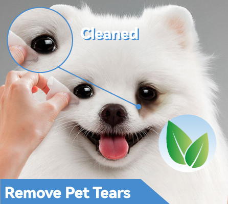 Pet grooming wipes