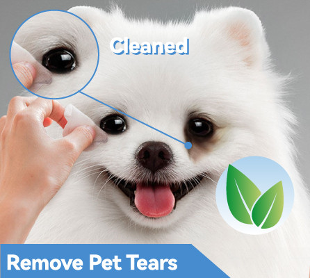 dog deodorizing wipes manufacturer