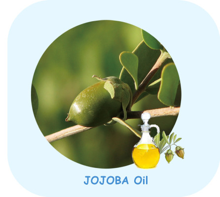 jojoba oil 