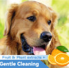 How are DAXIN WET WIPES classified?