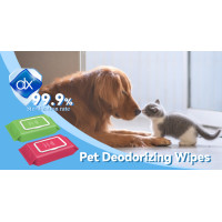 Dalian Daxin Nonwoven Technology Co., Ltd. Unveils Diverse Range of High - Quality Pet Wipes
