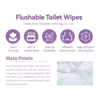 Dalian Daxin Nonwoven Technology Co., Ltd. Launches Environmentally Friendly Degradable Wet Wipes