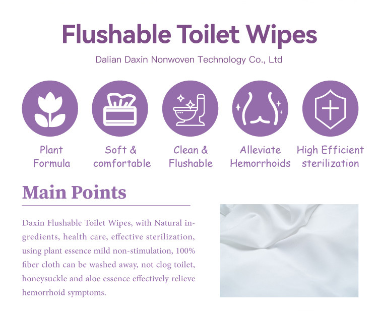 Flushable Toilet Wipes