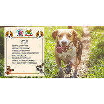 Bulk Made Natural Beef Hide Bleach Rawhide Chew Shoes