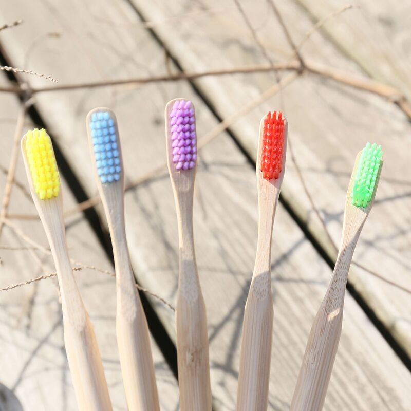 How to Stop Bamboo Toothbrushes from Getting Moldy?