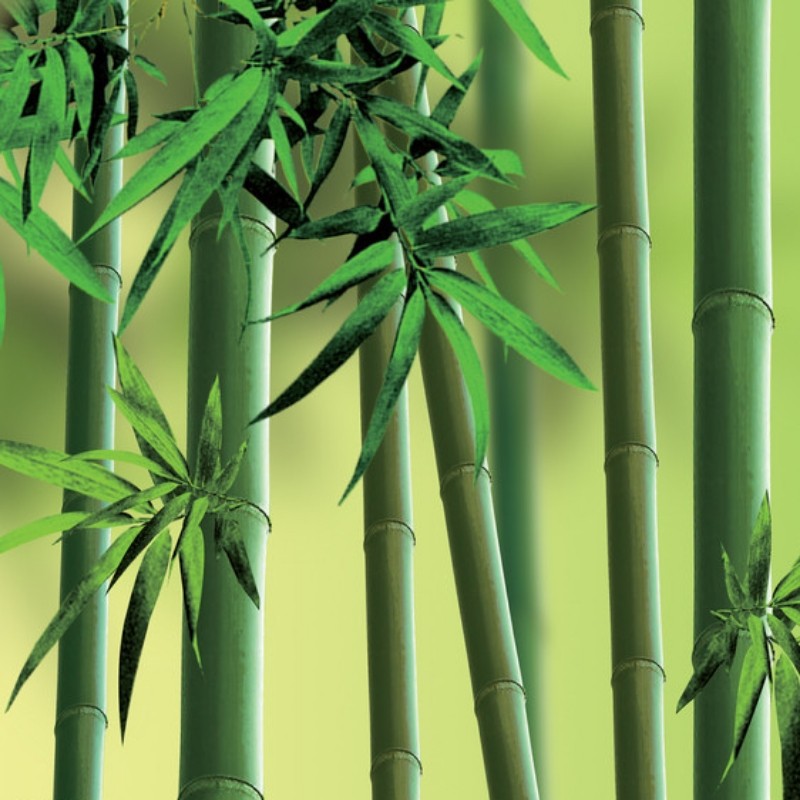The Environmental Benefits of Using Bamboo Tableware