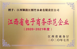 E-Commerce-Demonstrationsunternehmen der Provinz Jiangxi