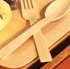 Disposable Bamboo Tablewares Are Handy and Useful for Certain Situations!