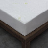 Queen Mattress Protector Waterproof Bed Cover Soft Surface Fabric Breathable Quiet Hypoallergenic Mattress cover