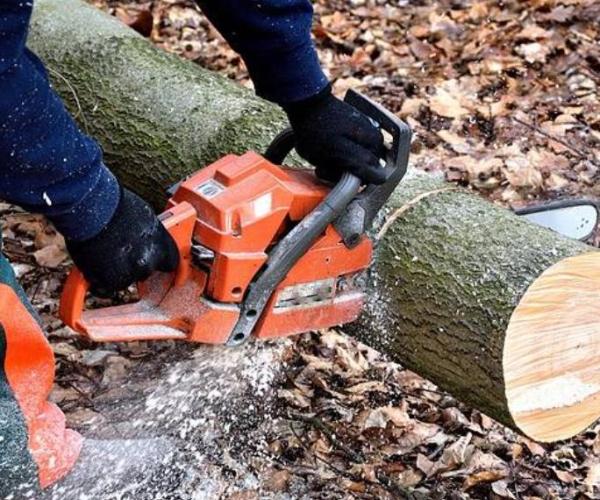 How to Choose a Chainsaw Chain?