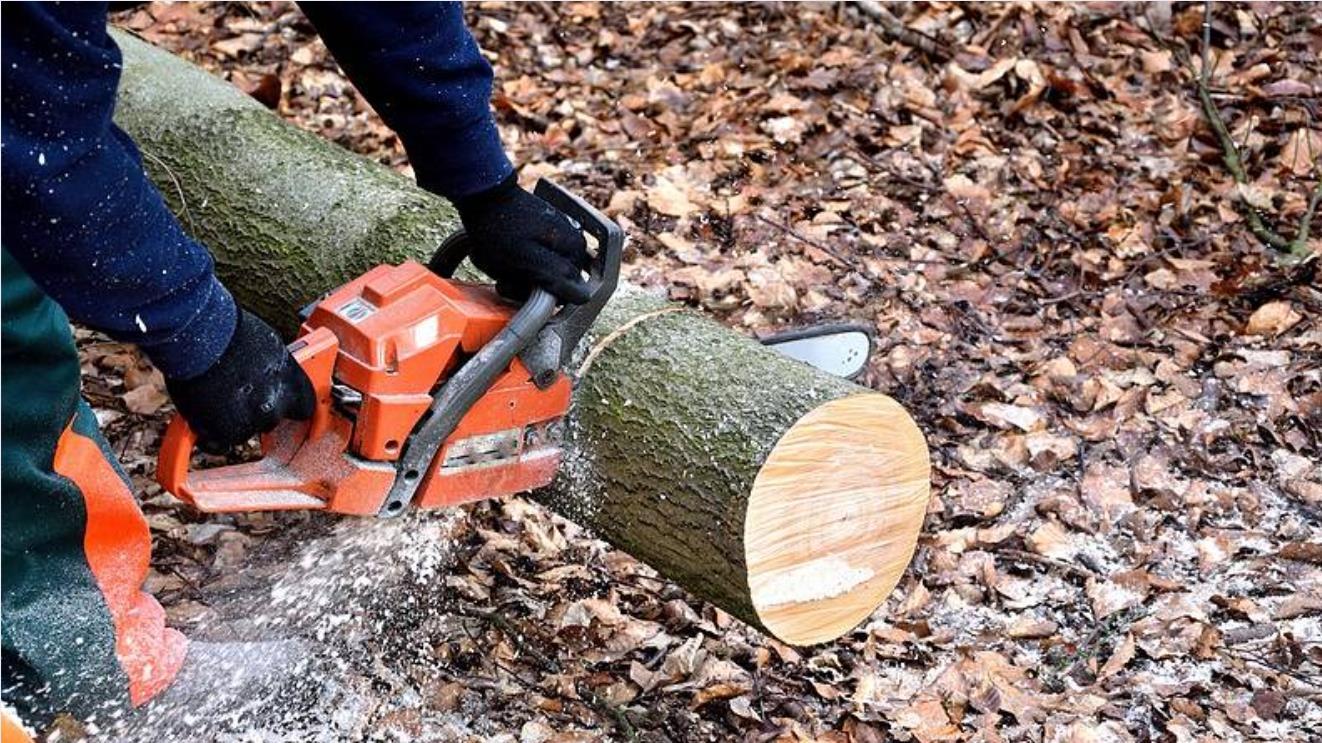 Choose a Chainsaw Chain