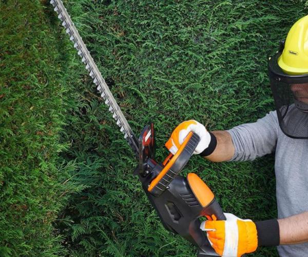 How to Sharpen a Hedge Trimmer?