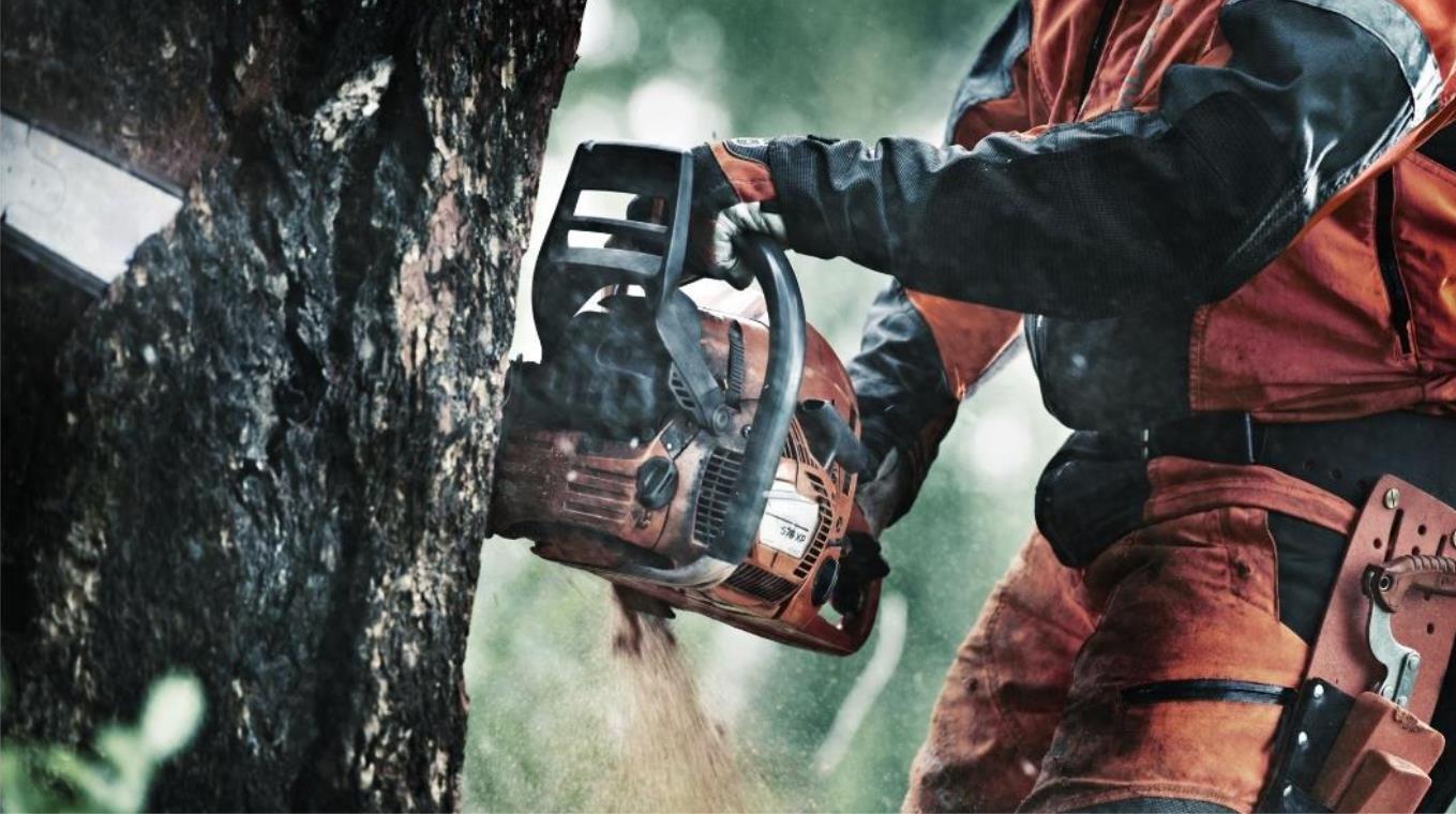 how chainsaw oiler work