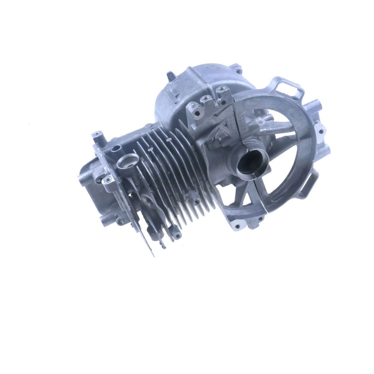 Oil Seal