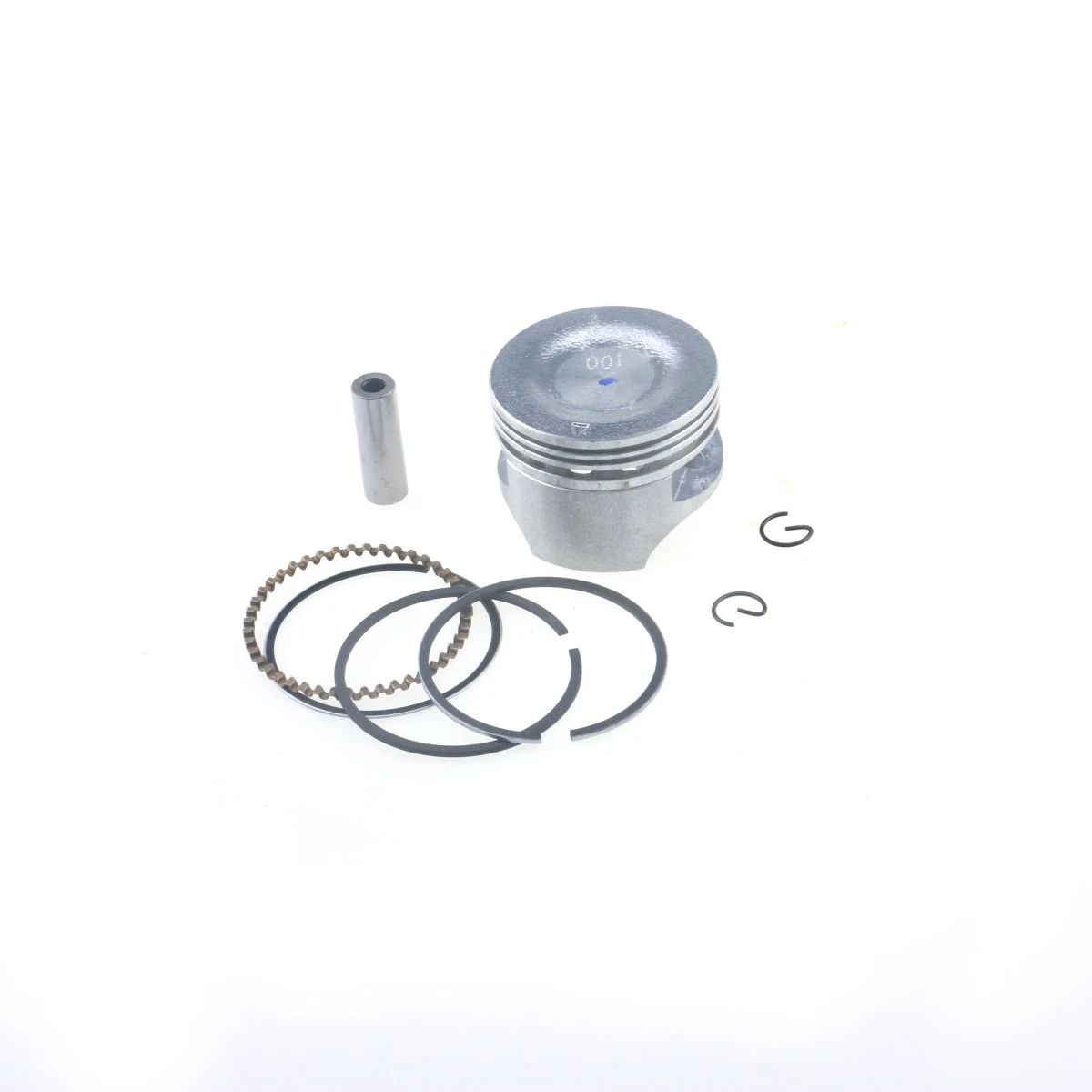 Oil Seal