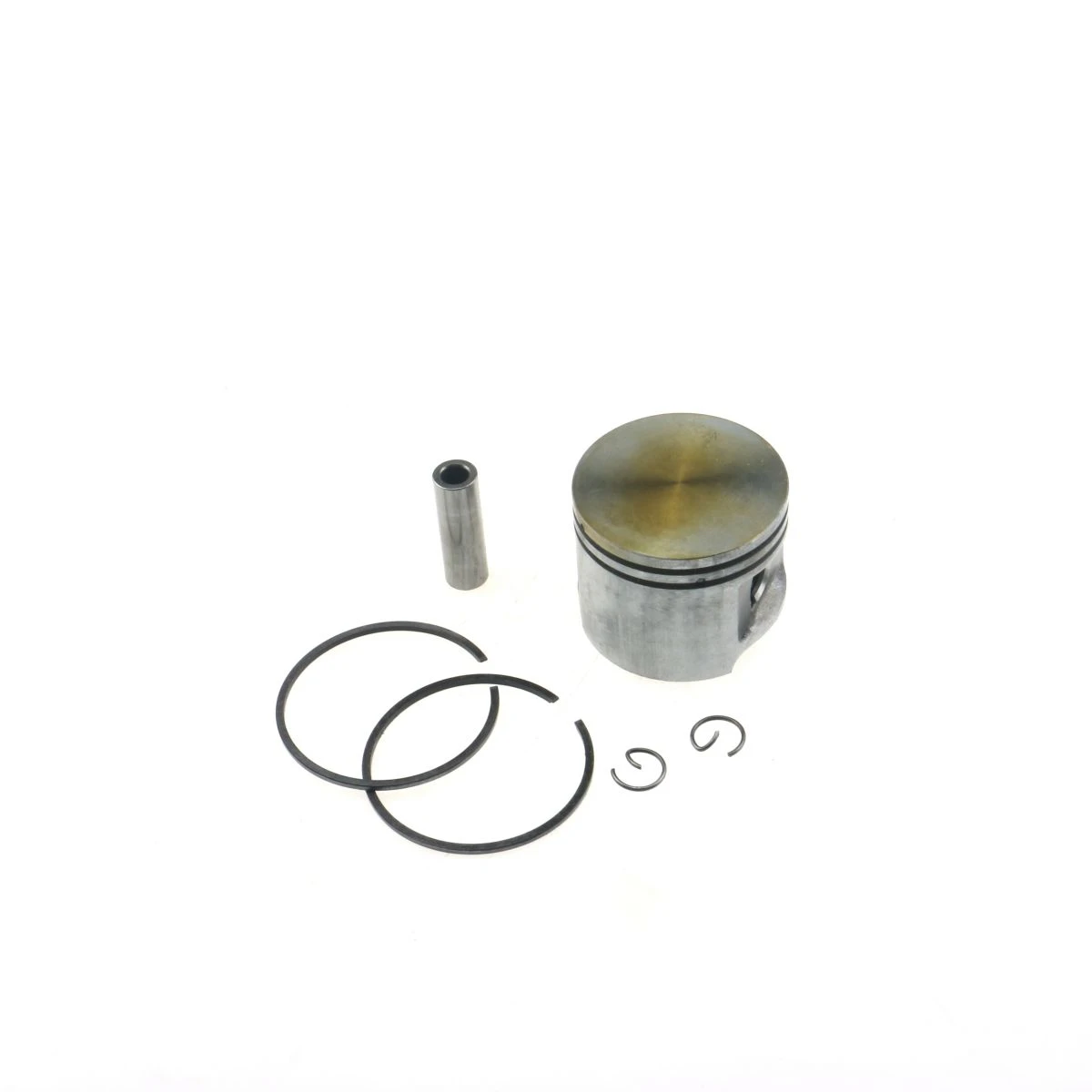 Oil Seal