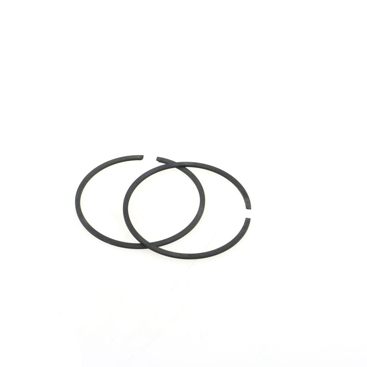 Oil Seal